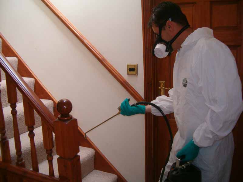 How Pest Controllers Middlesex Helps You?
