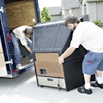 Characteristics Of Reputed Removals