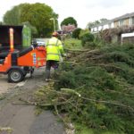 How Tree Surgeons Keep Your Garden In Good Condition