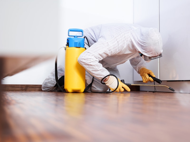 4 Benefits Of Pest Control And Management Services