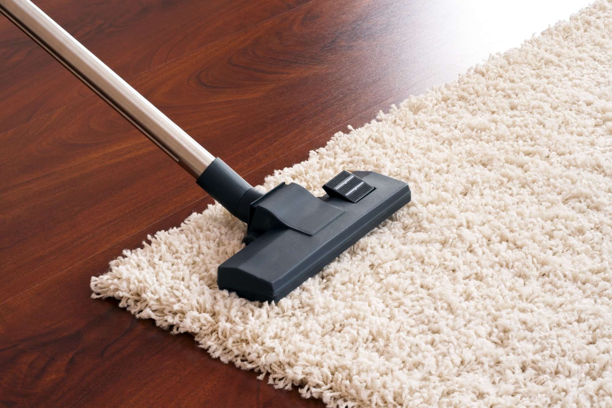 Why homeowners rely on professionals for getting their carpets cleaned?
