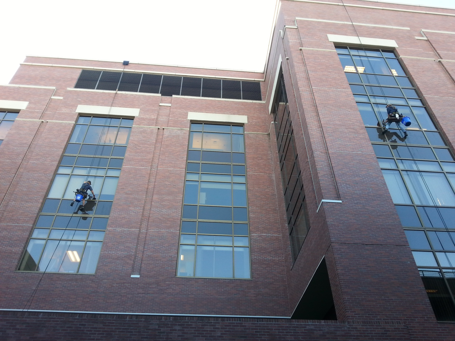 Why Window Cleaning Services Are So Important For Your Premises?