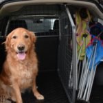 What To Bear In Mind When Shipping Pets Across The Borders?