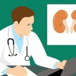 Understanding The Kidney Donor Process