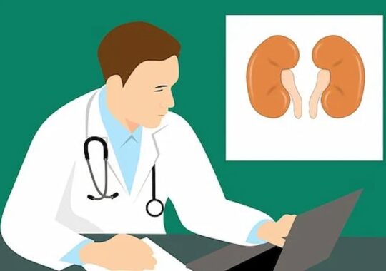 Understanding The Kidney Donor Process