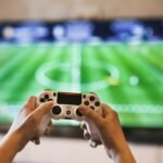 The Complete Manual: All There Is To Know About Cindovies