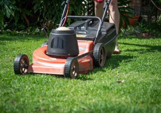 The Mexican Lawnmower: A Fun Challenge For Urban Dictionary