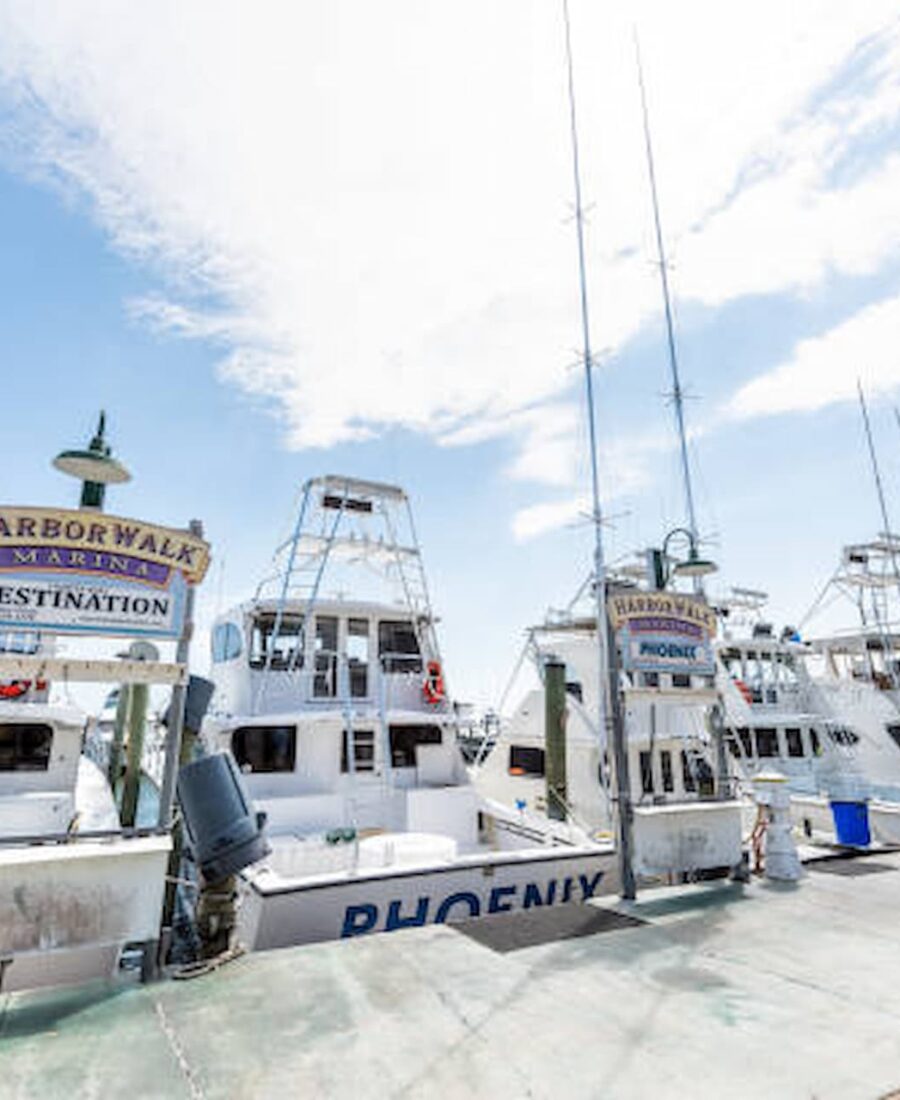Insider’s Tips For Tampa Bay Fishing Guides