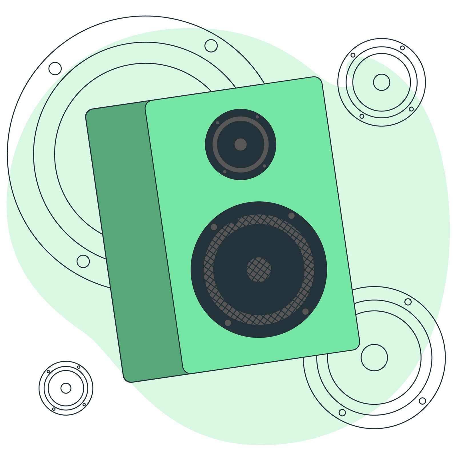 A Detailed Description Of The Speaker GS1E665 960 Size