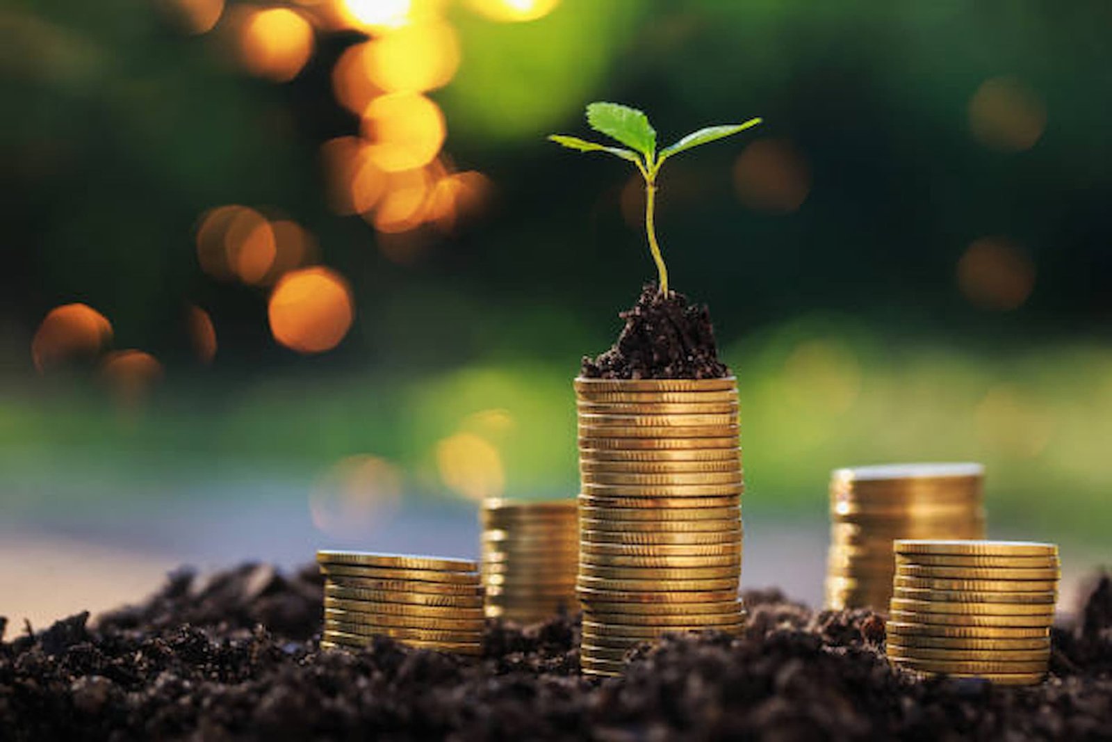 When Should You Consider A Wealth Management Firm?