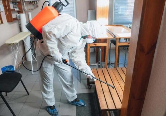 How Pest Control Improves Overall Quality Of Life