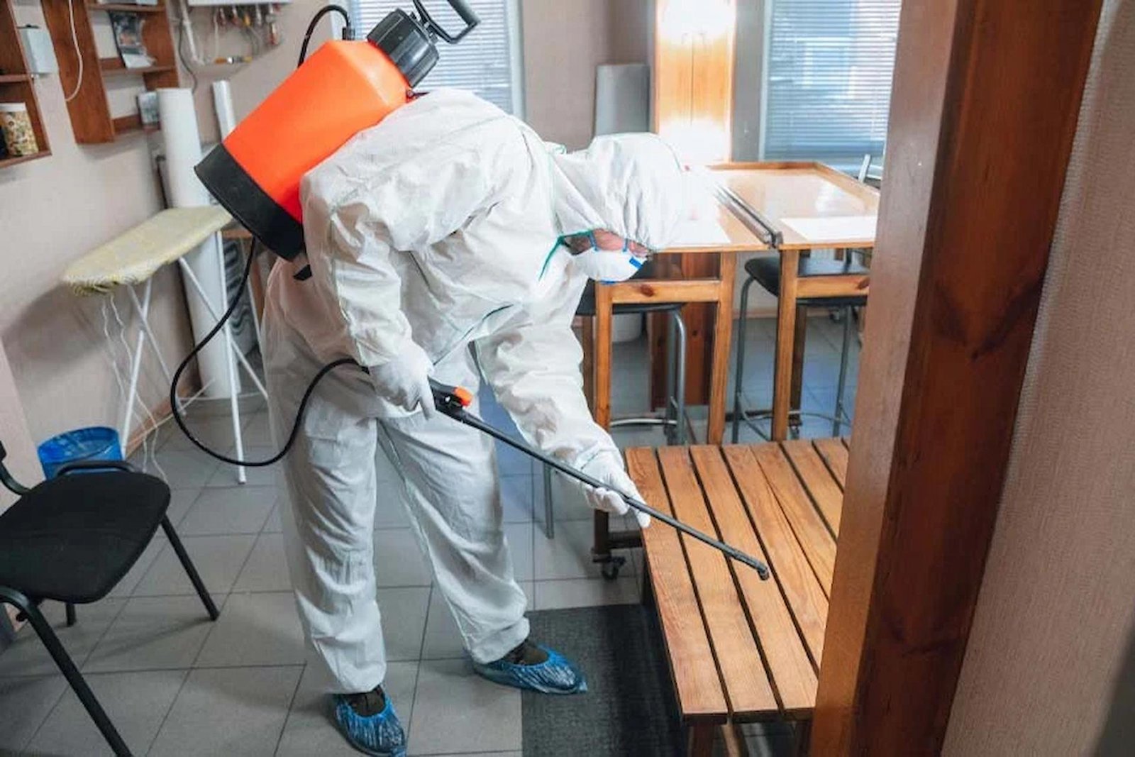 How Pest Control Improves Overall Quality Of Life