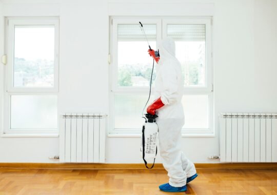 Detecting Pest Problems Before They Escalate