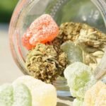 The Rise of Cannabis-Infused Edibles in Pop Culture