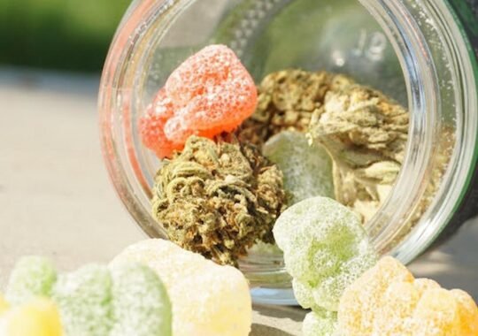The Rise of Cannabis-Infused Edibles in Pop Culture