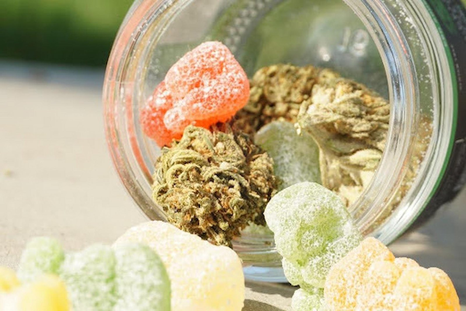 The Rise of Cannabis-Infused Edibles in Pop Culture