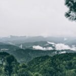 Top 10 Things to Do in Kasauli for Nature Lovers