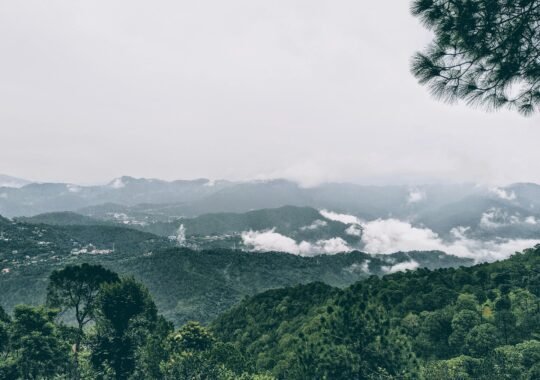 Top 10 Things to Do in Kasauli for Nature Lovers