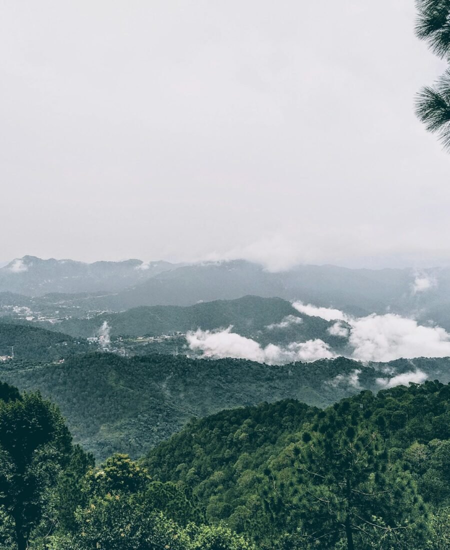 Top 10 Things to Do in Kasauli for Nature Lovers
