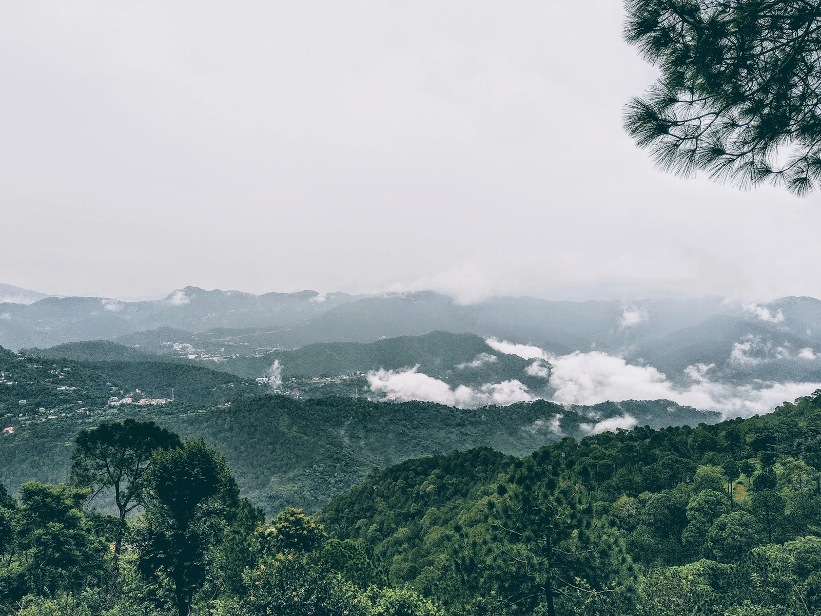 Top 10 Things to Do in Kasauli for Nature Lovers