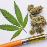 How to Choose the Right Vape Pen Cartridge for You
