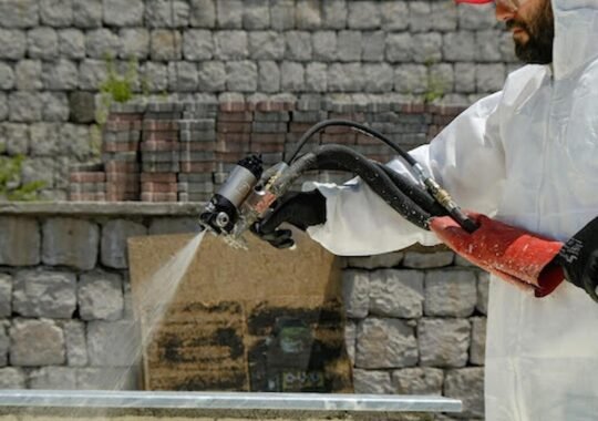 Top Benefits of Hiring Residential Pest Control Experts