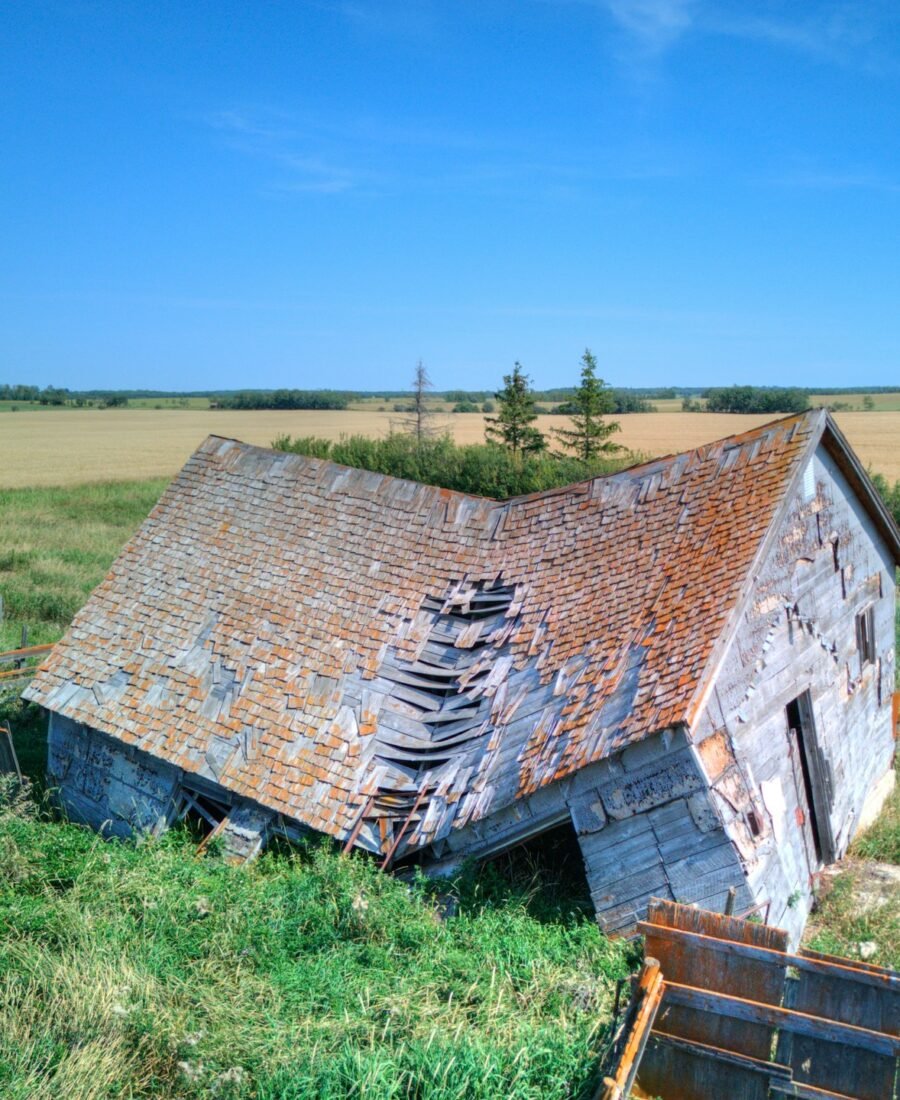 The Subtle Impact of Local Weather on Home Maintenance Choices