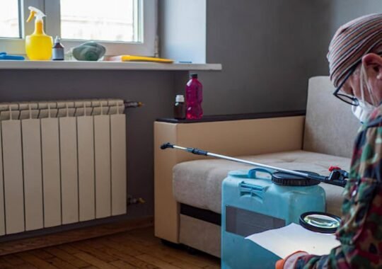 What to Do When You Spot the First Sign of Pests