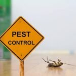 Affordable Pest Control Services for Homes and Businesses