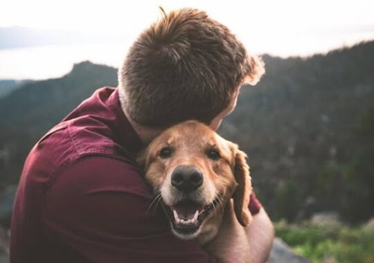 Why Ethical Training is Key for Your Dog’s Development