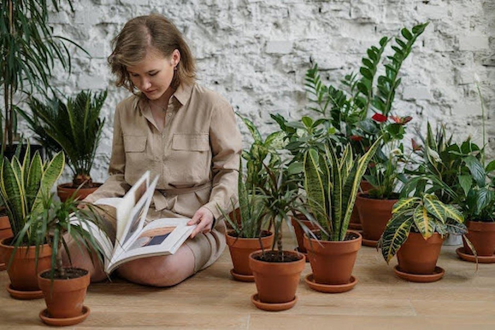 How to Choose the Perfect Planters for Your Indoor Garden