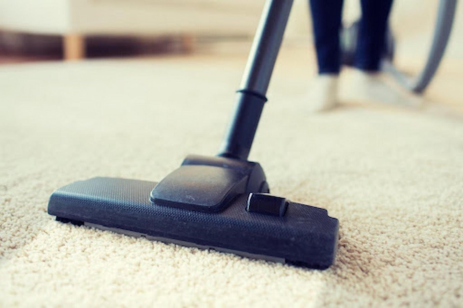 Experienced Carpet Cleaning Services for Every Carpet Type