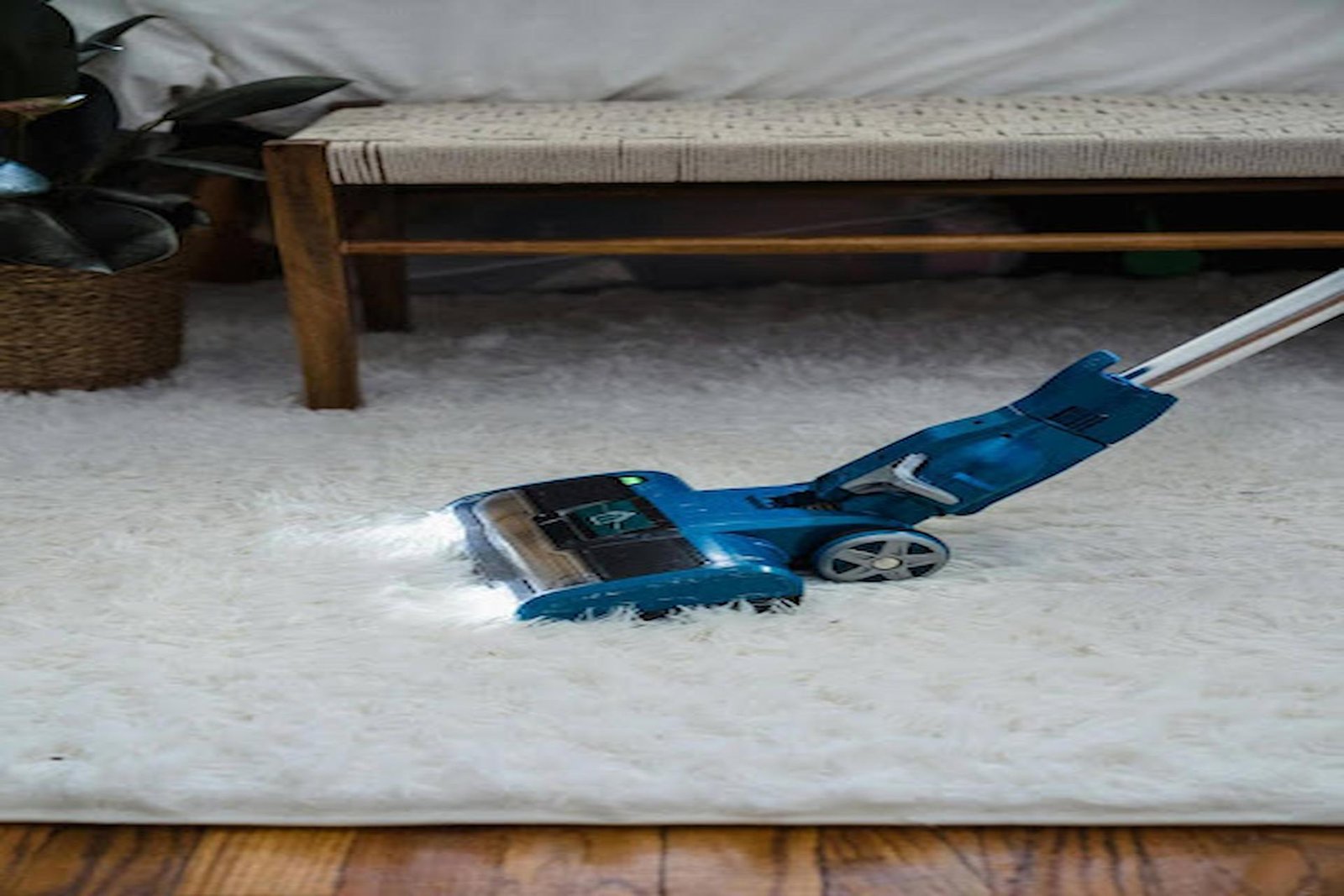 Quality Carpet Cleaning and Care by Certified Experts