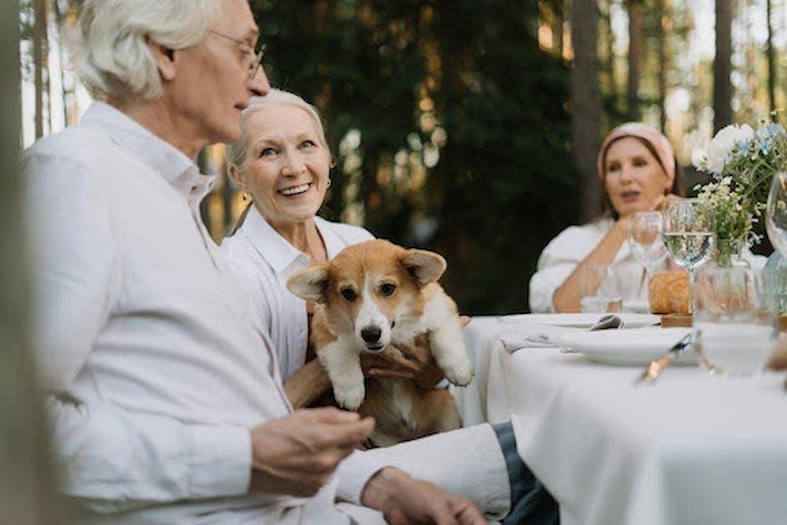 How Pet Companionship Enhances Senior Living Experiences