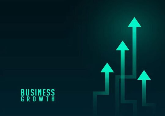 Unlock Financial Growth for your Business with Boat Rental Management Software