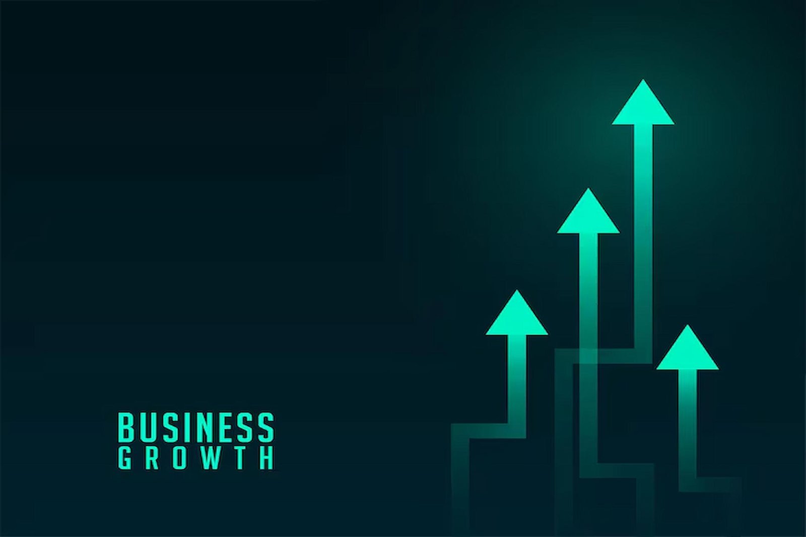 Unlock Financial Growth for your Business with Boat Rental Management Software