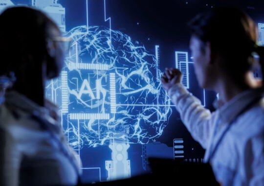 Extensive Guidelines For Alaya AI