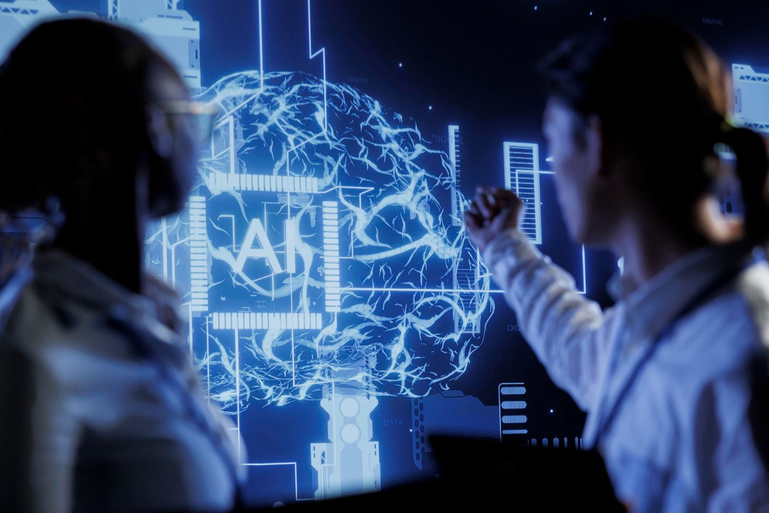 Extensive Guidelines For Alaya AI