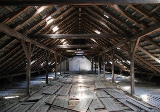 How to Safely Remove Mold from Your Crawl Space