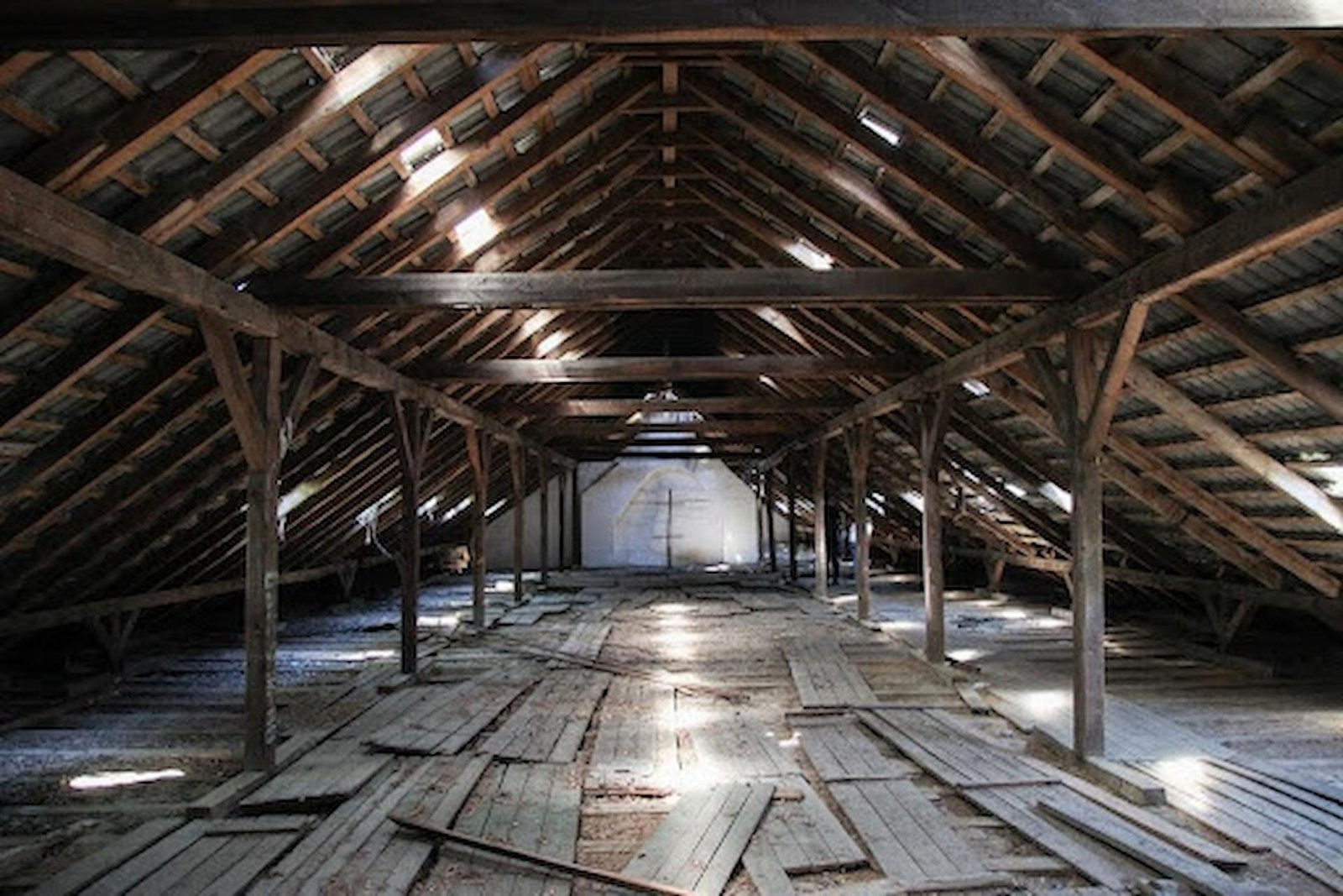 How to Safely Remove Mold from Your Crawl Space