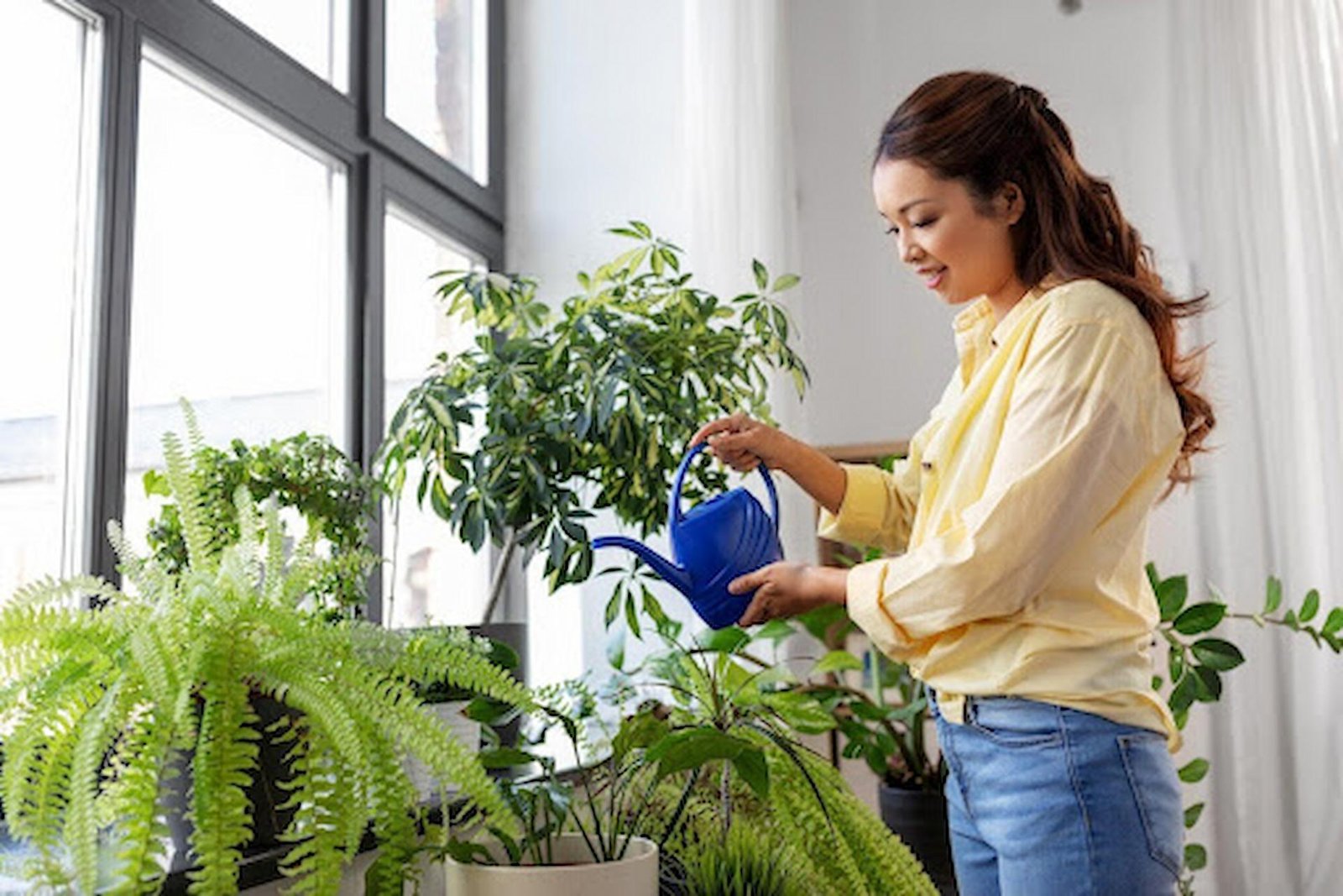 Sustainable Home Living: How Indoor Plants Play a Part