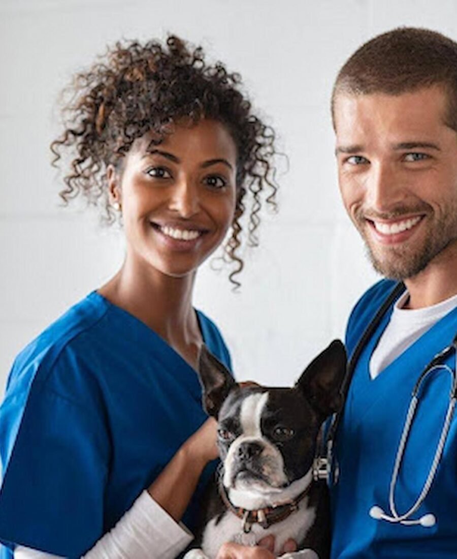 Pet CPR + First Aid Certification: Protect Your Pets’ Lives