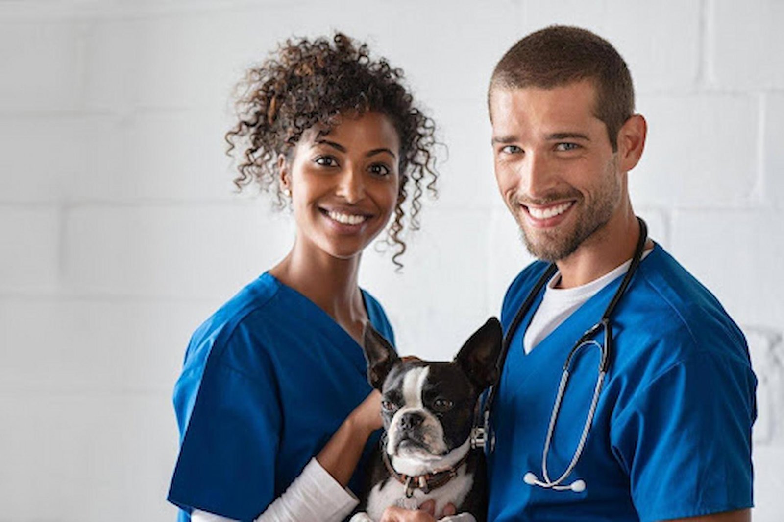 Pet CPR + First Aid Certification: Protect Your Pets’ Lives