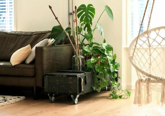 Deep Cleaning Services for a Healthier, Fresher Living Space