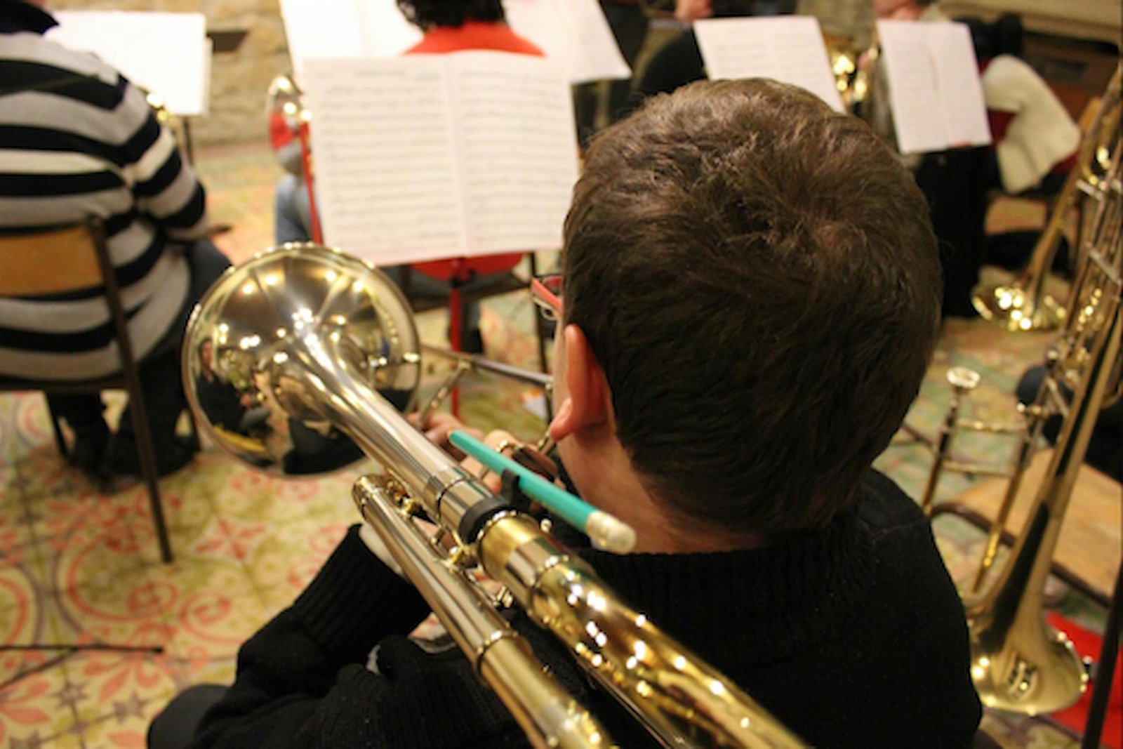From Marching Bands to Concert Halls: Low Brass Instruments