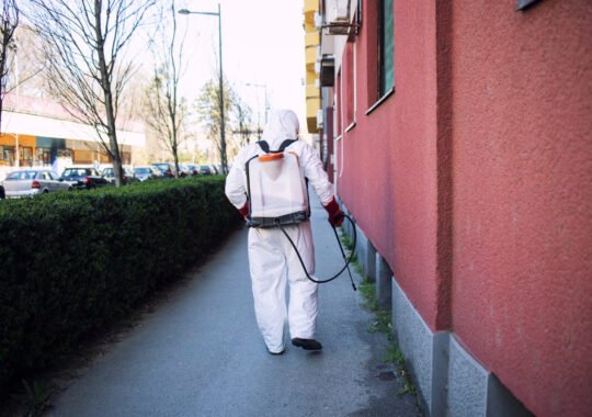 Best Practices for Pest Control in Residential Areas