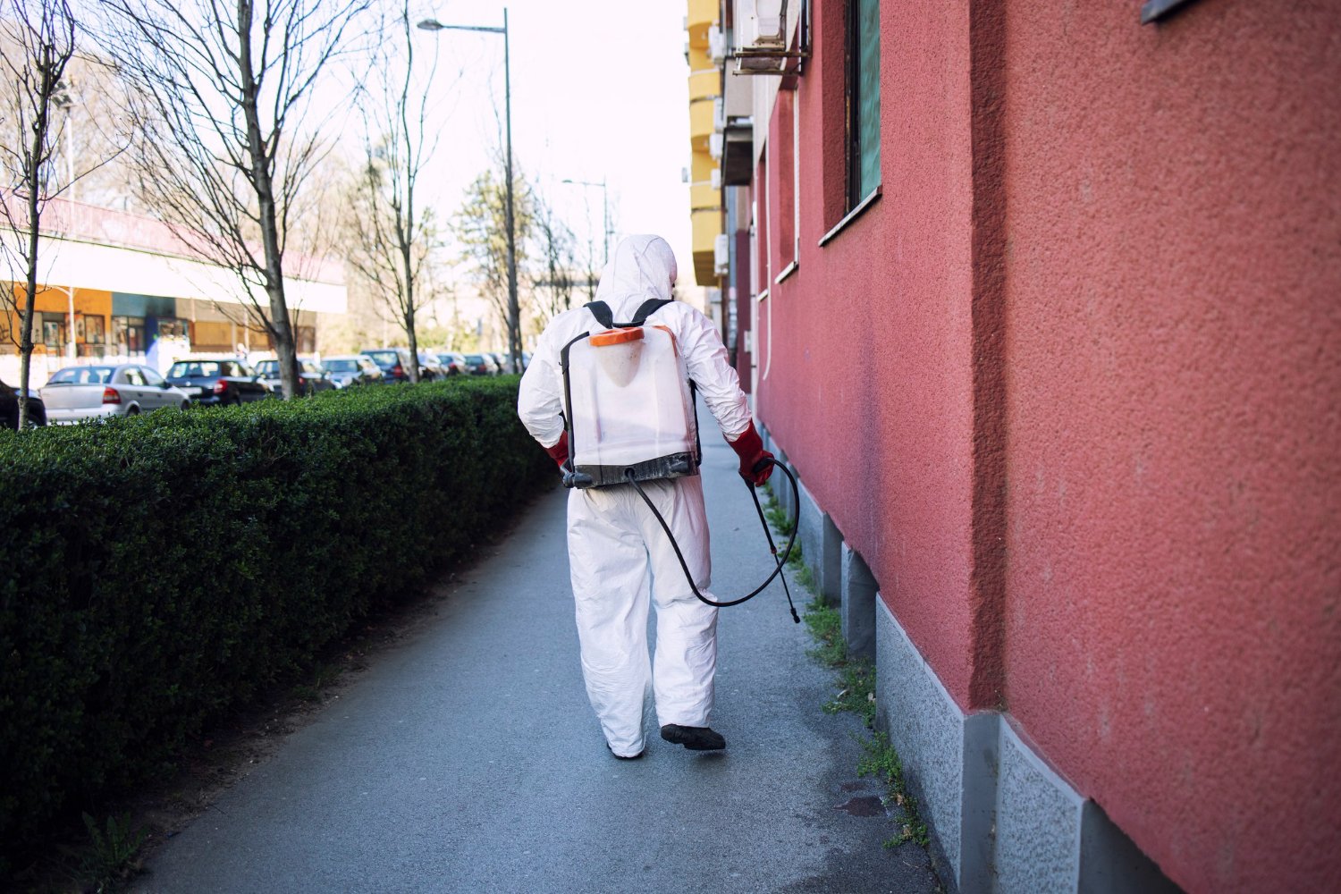 Best Practices for Pest Control in Residential Areas
