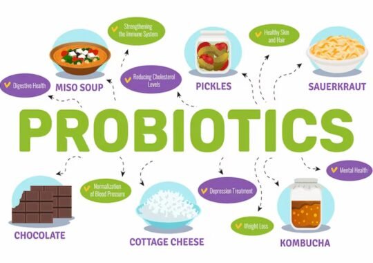 Top 5 Ways Probiotics Can Transform Your Wellness Routine