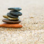 Balancing Stone and Soil: Designing Spaces That Thrive