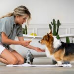 5 Reasons a Dog Grooming Franchise Is a Great Business for Pet Lovers